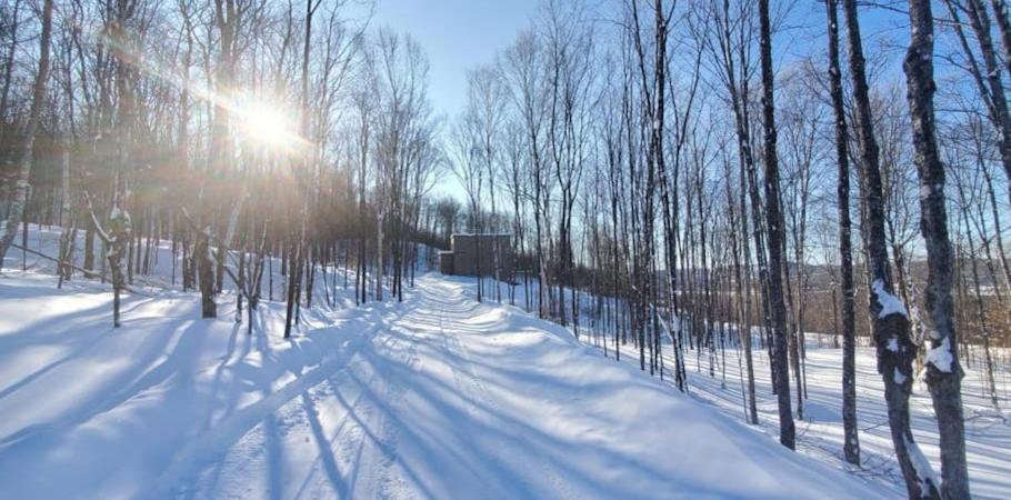 Вилла Chalet Serenity - Mont Tremblant Ski - Spa Sauna Wifi Tv Privet Chic Modern House Ла-Консепсьон Экстерьер фото